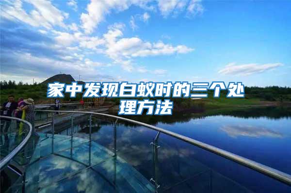 家中發現白蟻時的三個處理方法