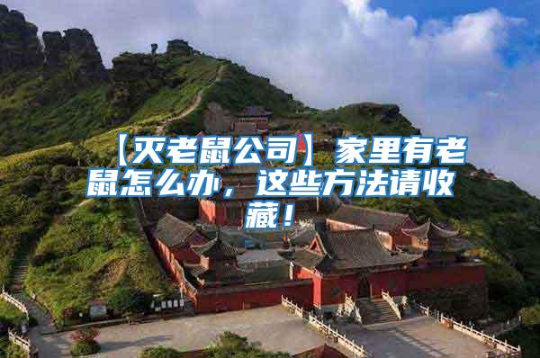 【滅老鼠公司】家里有老鼠怎么辦，這些方法請收藏！