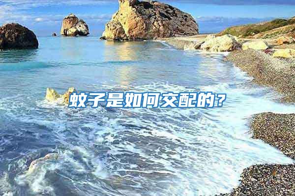 蚊子是如何交配的？