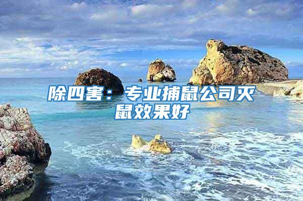 除四害：專業捕鼠公司滅鼠效果好