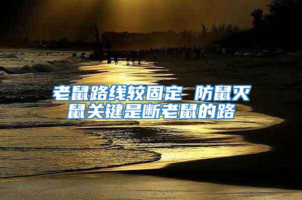 老鼠路線較固定 防鼠滅鼠關鍵是斷老鼠的路