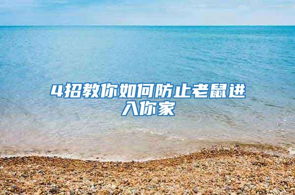 4招教你如何防止老鼠進入你家