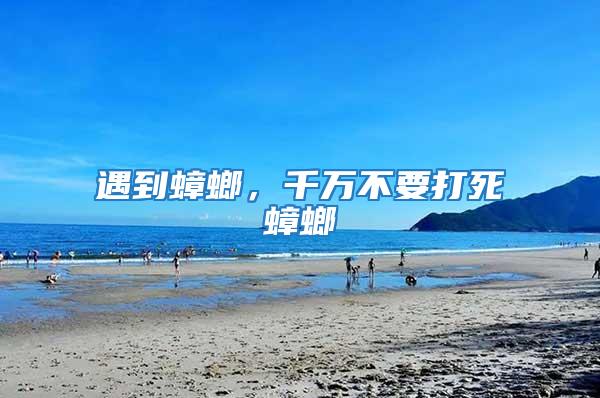 遇到蟑螂，千萬不要打死蟑螂