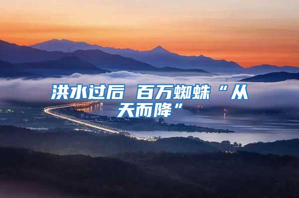 洪水過后 百萬蜘蛛“從天而降”