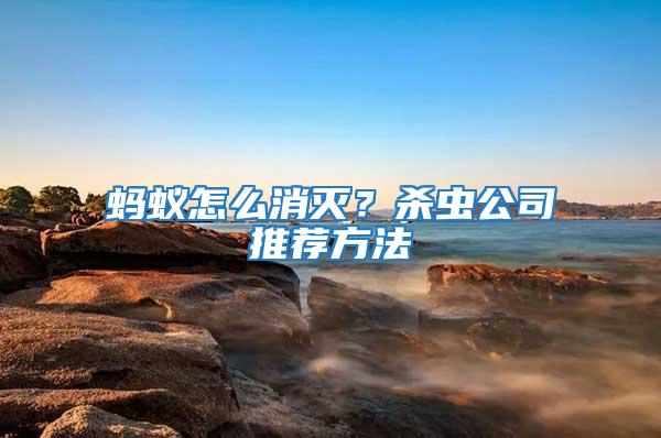螞蟻怎么消滅？殺蟲公司推薦方法
