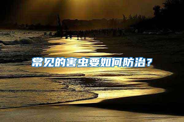 常見的害蟲要如何防治？