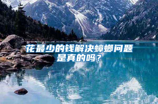 花最少的錢解決蟑螂問題是真的嗎？