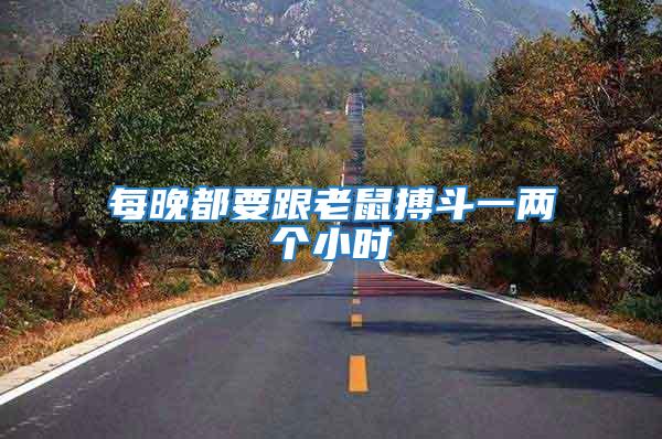 每晚都要跟老鼠搏斗一兩個小時