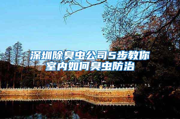 深圳除臭蟲公司5步教你室內如何臭蟲防治