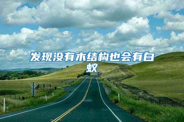 發現沒有木結構也會有白蟻