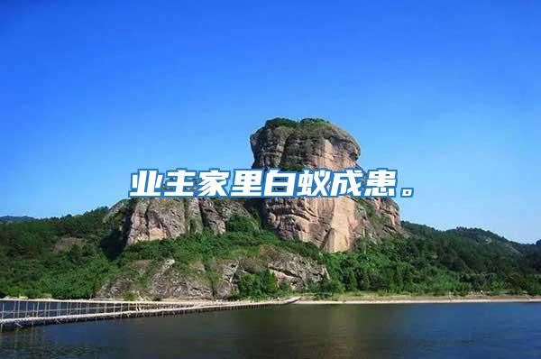 業主家里白蟻成患。