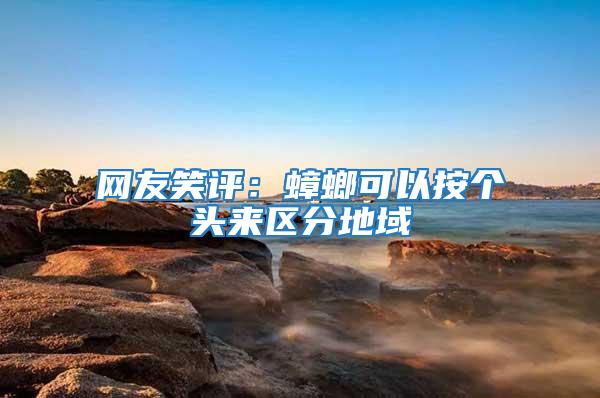 網友笑評：蟑螂可以按個頭來區分地域