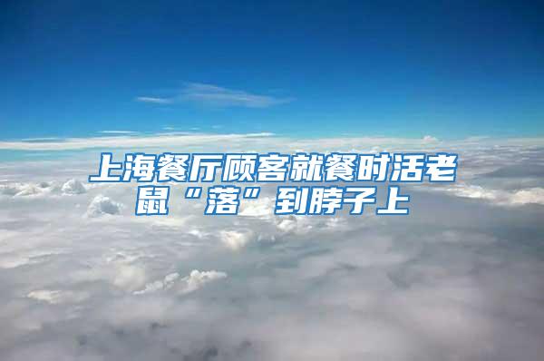 上海餐廳顧客就餐時(shí)活老鼠“落”到脖子上