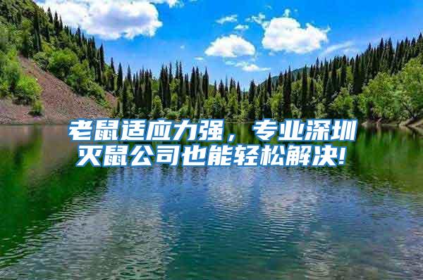 老鼠適應力強，專業深圳滅鼠公司也能輕松解決!