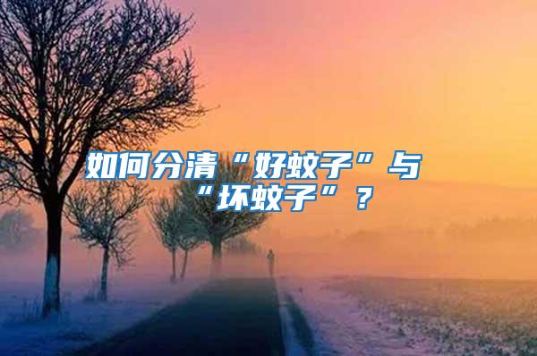 如何分清“好蚊子”與“壞蚊子”？