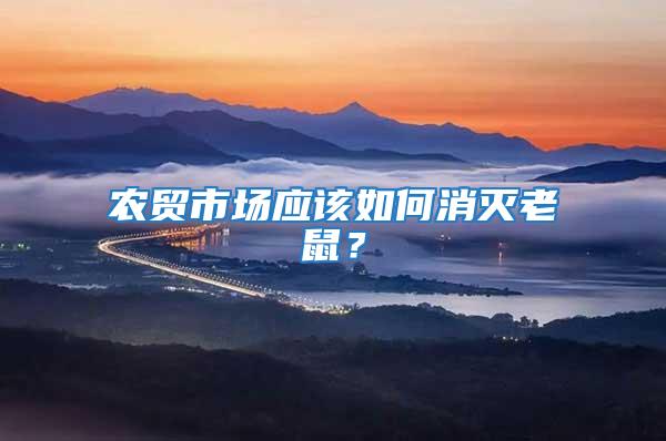 農貿市場應該如何消滅老鼠？