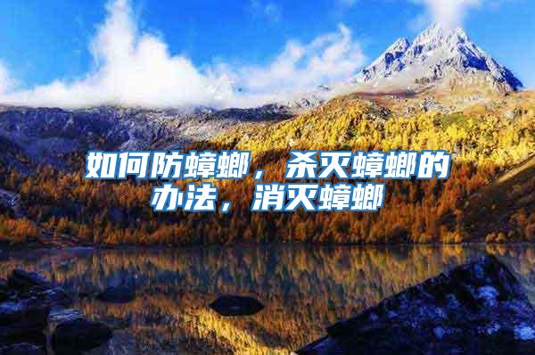 如何防蟑螂，殺滅蟑螂的辦法，消滅蟑螂