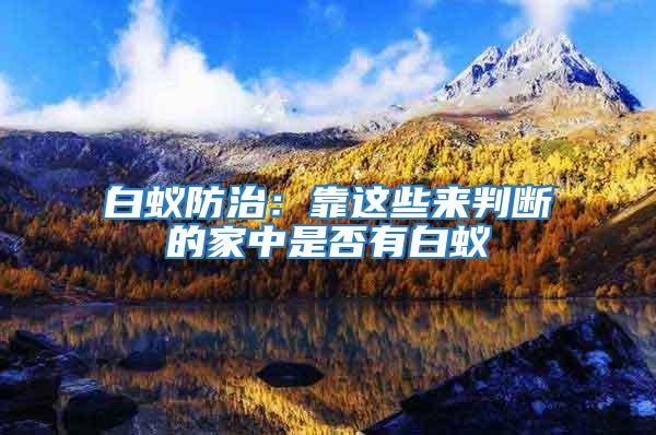 白蟻防治：靠這些來判斷的家中是否有白蟻