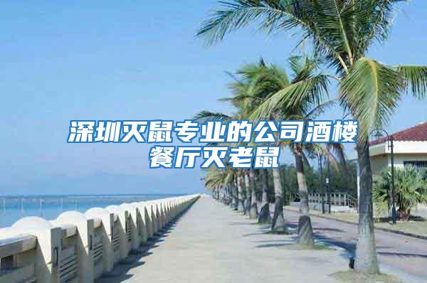 深圳滅鼠專業的公司酒樓餐廳滅老鼠