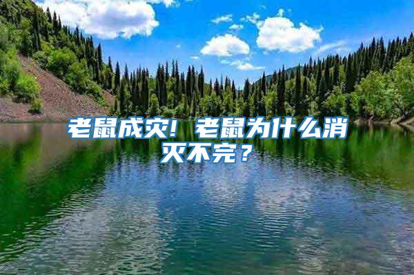 老鼠成災! 老鼠為什么消滅不完？