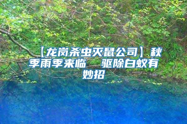 【龍崗殺蟲滅鼠公司】秋季雨季來(lái)臨  驅(qū)除白蟻有妙招
