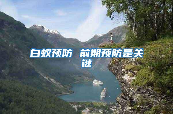 白蟻預防 前期預防是關鍵