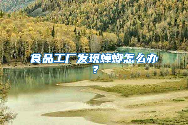 食品工廠發(fā)現(xiàn)蟑螂怎么辦？