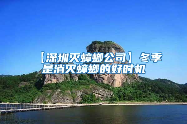 【深圳滅蟑螂公司】冬季是消滅蟑螂的好時(shí)機(jī)
