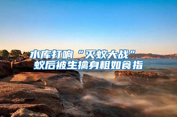 水庫打響“滅蟻大戰(zhàn)” 蟻后被生擒身粗如食指