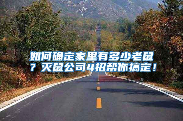 如何確定家里有多少老鼠？滅鼠公司4招幫你搞定！