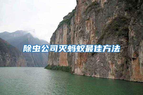 除蟲公司滅螞蟻最佳方法