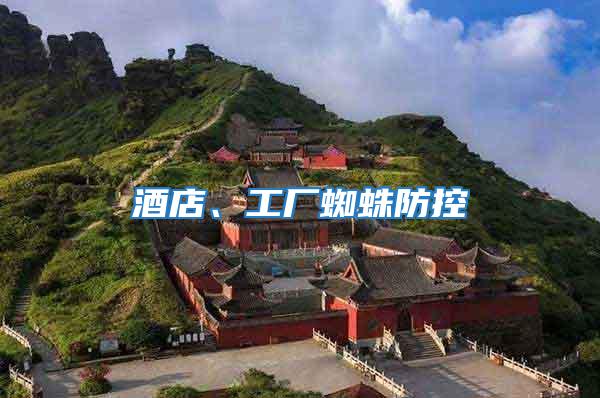 酒店、工廠蜘蛛防控