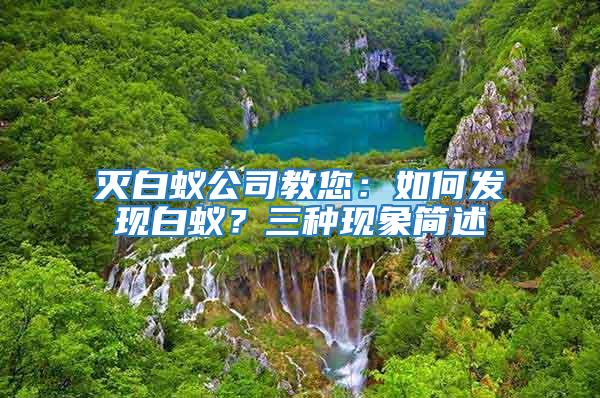 滅白蟻公司教您：如何發現白蟻？三種現象簡述