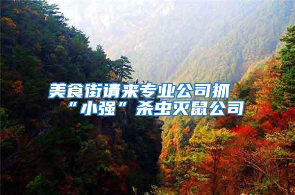 美食街請來專業公司抓“小強”殺蟲滅鼠公司
