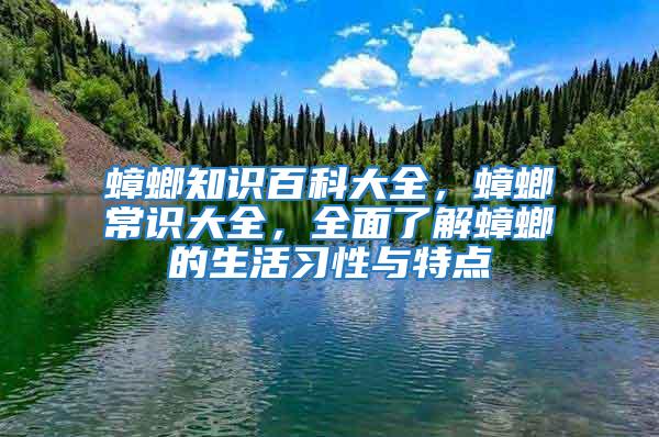 蟑螂知識(shí)百科大全，蟑螂常識(shí)大全，全面了解蟑螂的生活習(xí)性與特點(diǎn)