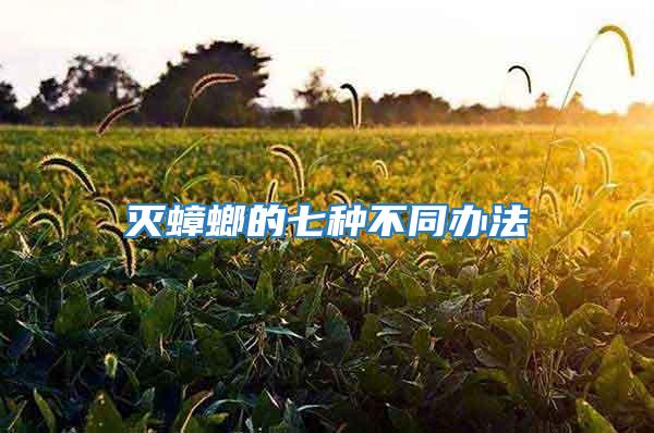 滅蟑螂的七種不同辦法