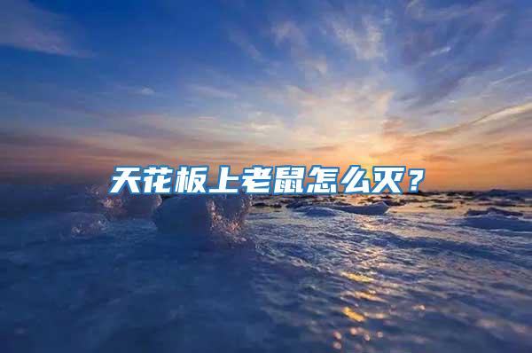天花板上老鼠怎么滅？