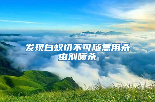 發現白蟻切不可隨意用殺蟲劑噴殺