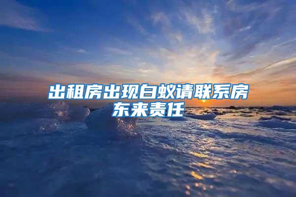 出租房出現白蟻請聯系房東來責任