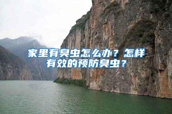 家里有臭蟲怎么辦？怎樣有效的預防臭蟲？