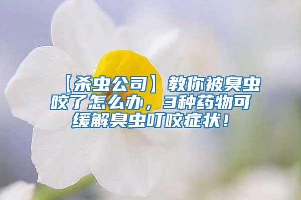 【殺蟲公司】教你被臭蟲咬了怎么辦，3種藥物可緩解臭蟲叮咬癥狀！
