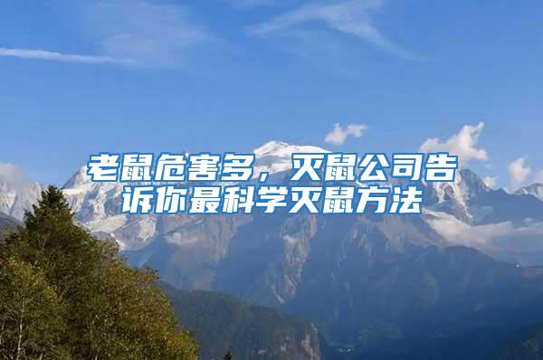 老鼠危害多，滅鼠公司告訴你最科學(xué)滅鼠方法