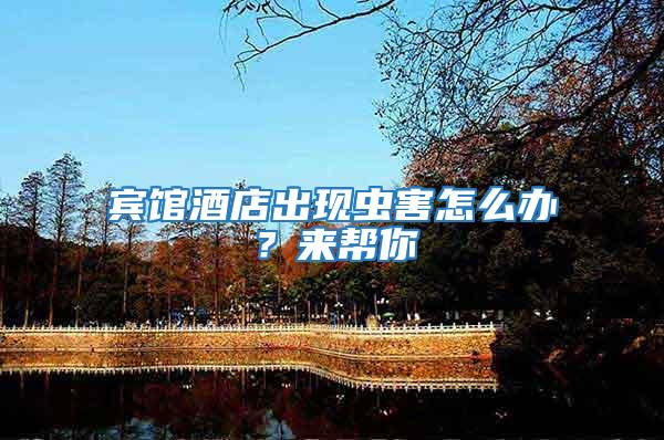 賓館酒店出現蟲害怎么辦？來幫你