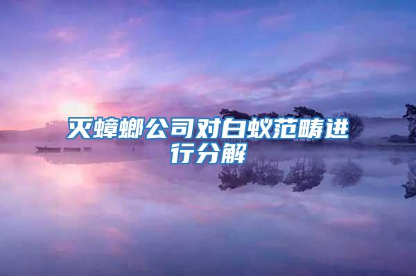 滅蟑螂公司對白蟻范疇進行分解