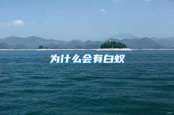 為什么會有白蟻