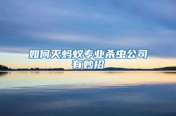 如何滅螞蟻專業殺蟲公司有妙招