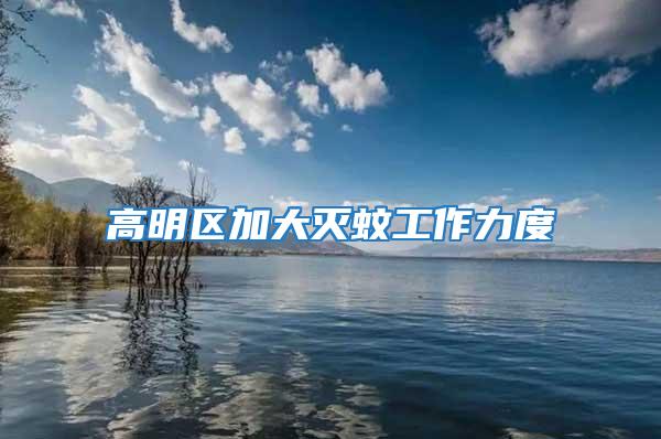 高明區加大滅蚊工作力度