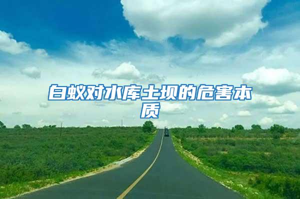 白蟻對(duì)水庫土壩的危害本質(zhì)
