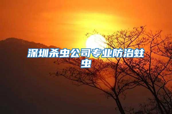 深圳殺蟲公司專業防治蛀蟲