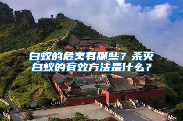 白蟻的危害有哪些？殺滅白蟻的有效方法是什么？